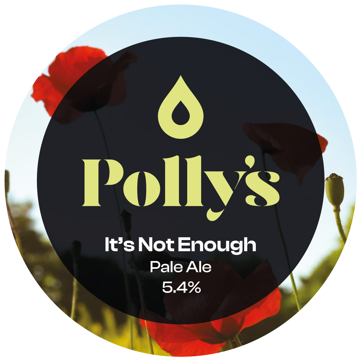 Polly's - Its Not Enough 30L
