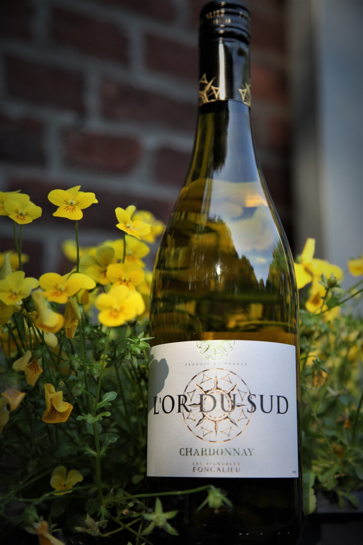 L'or du Sud - Chardonnay