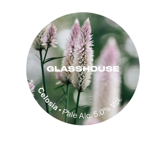 Glasshouse - Celosia 30L