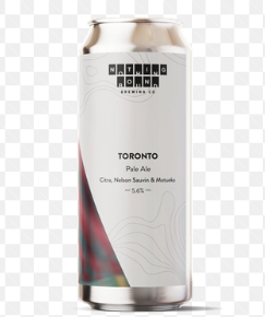 Nothing Bound - Toronto Pale 500ml