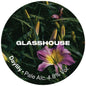 Glasshouse - Daylily 30L