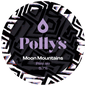 Pollys - Moon Mountains 30L
