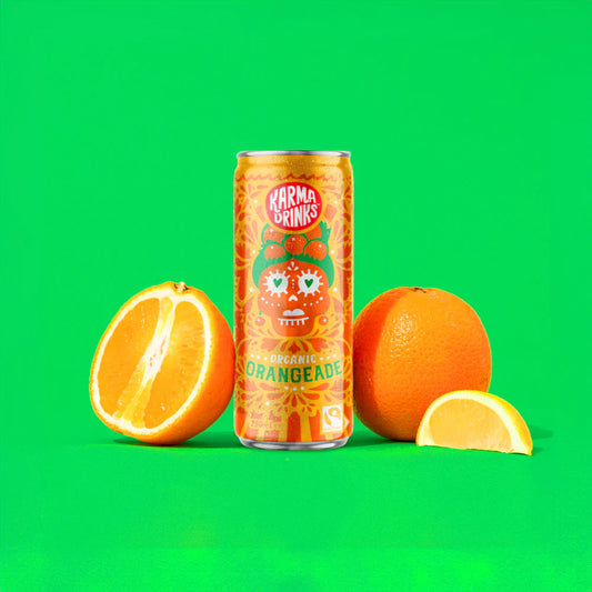 Orangeade Cans (24 pack)