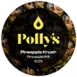Polly's - Pineapple Krush 30L