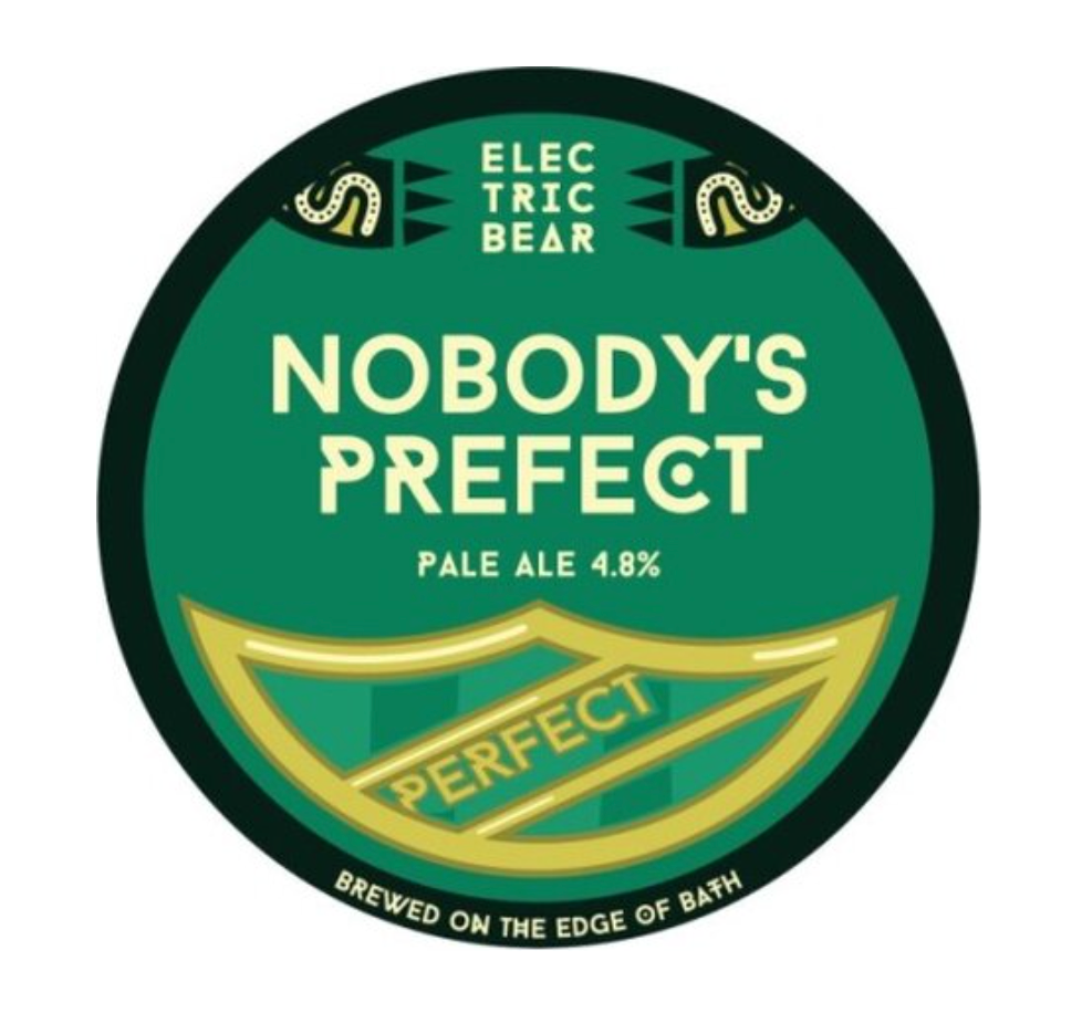 Electric Bear - Nobodys Prefect 9G