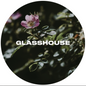 Glasshouse - Canina 30L
