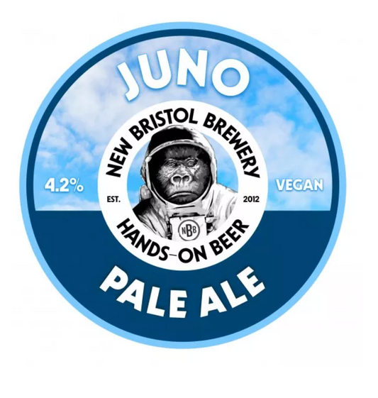 New Bristol - Juno 9G