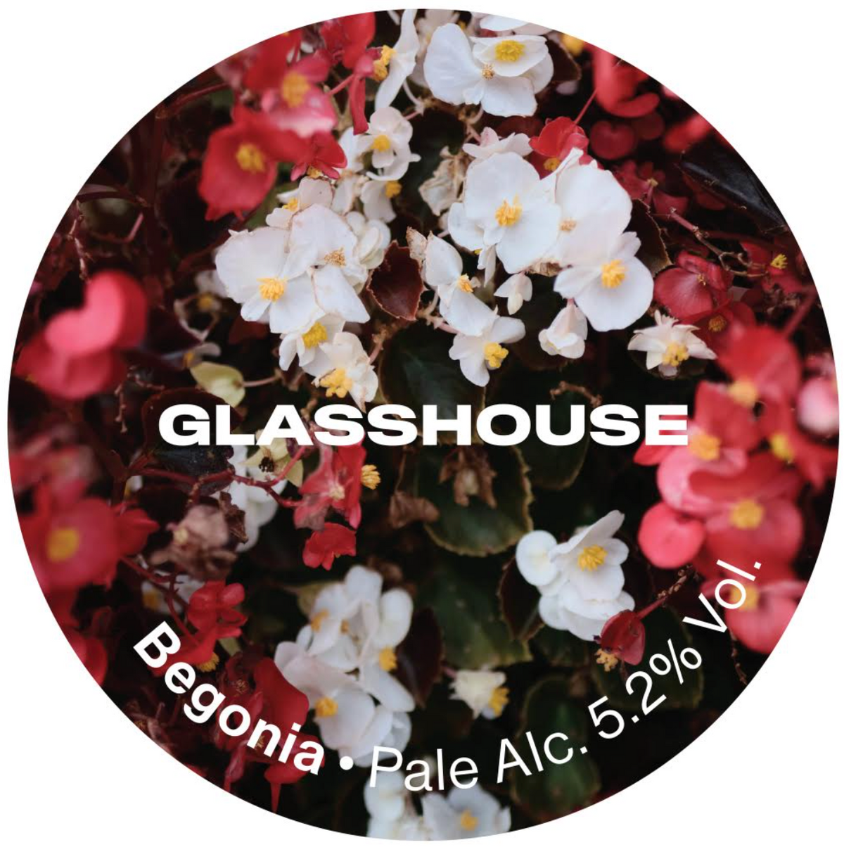 Glasshouse - Begonia 30L