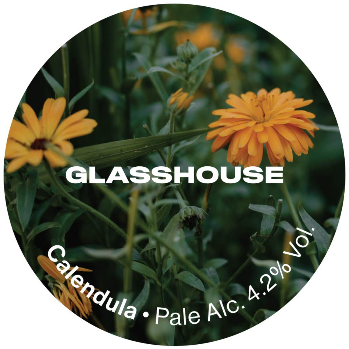 Glasshouse - Calendula 30L