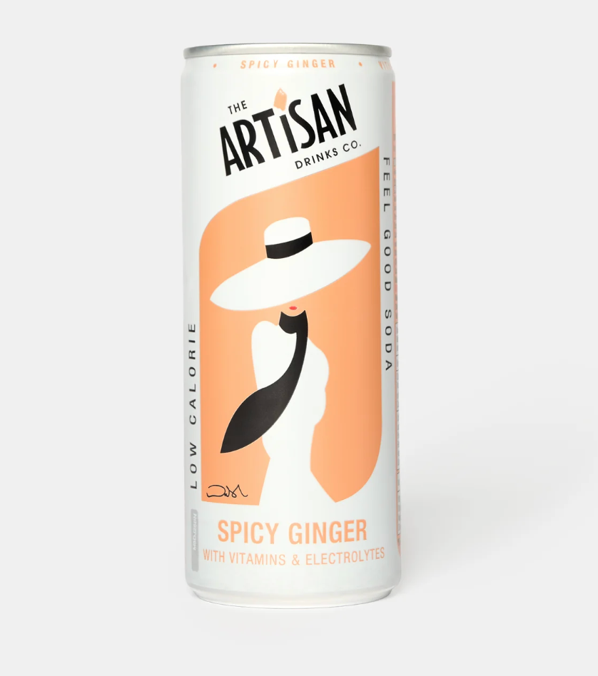Artisan - Spicy Ginger Soda with Vitamins & Electrolytes 250ml / 12 Pack (Copy) (Copy)