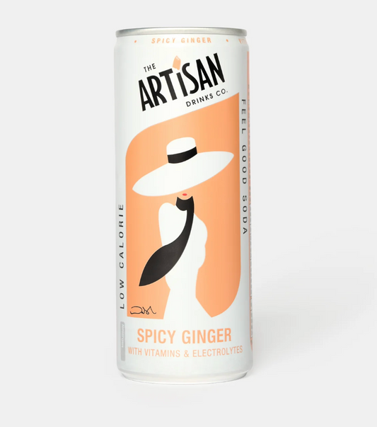 Artisan - Spicy Ginger Soda with Vitamins & Electrolytes 250ml / 12 Pack (Copy) (Copy)