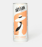 Artisan - Spicy Ginger Soda with Vitamins & Electrolytes 250ml / 12 Pack (Copy) (Copy)