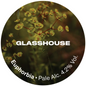 Glasshouse - Euphorbia 30L
