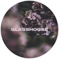 Glasshouse - Mauve 30L