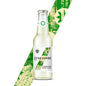 Luscombe - Elderflower Tonic Water 200ml (12 Pack)