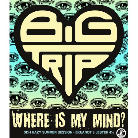 Big Trip - Where Is My Mind? (GF) 9G