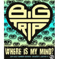 Big Trip - Where Is My Mind? (GF) 9G
